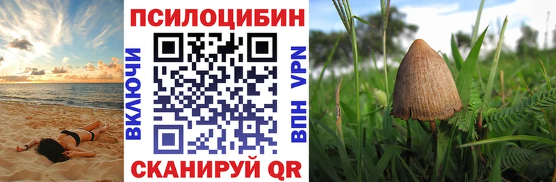 MEGA маркетплейс  купить наркотик  Воронеж  Галлюциногенные грибы мицелий 